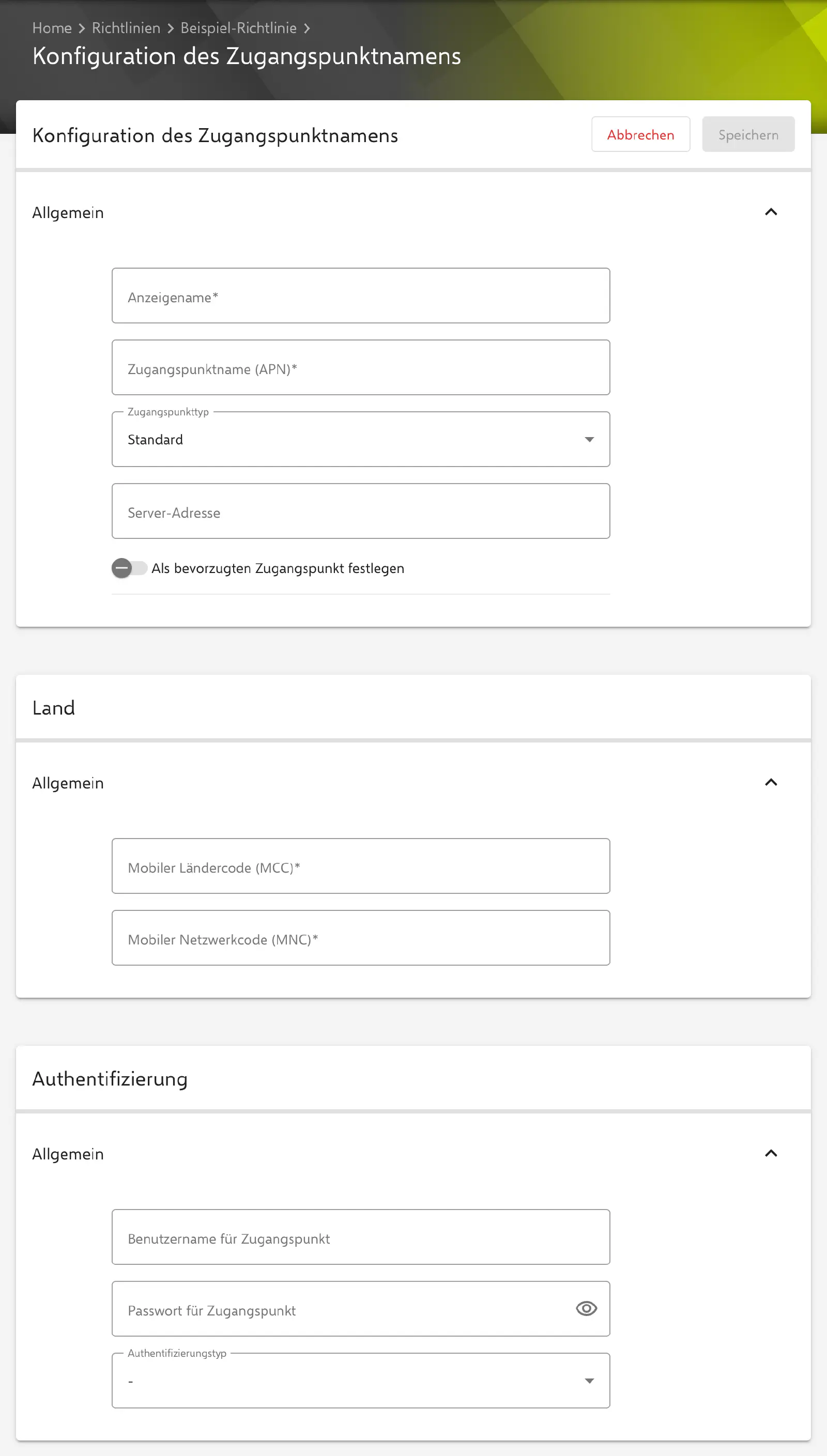 Formular Konfiguration des Zugangspunktnamens im Relution-Portal