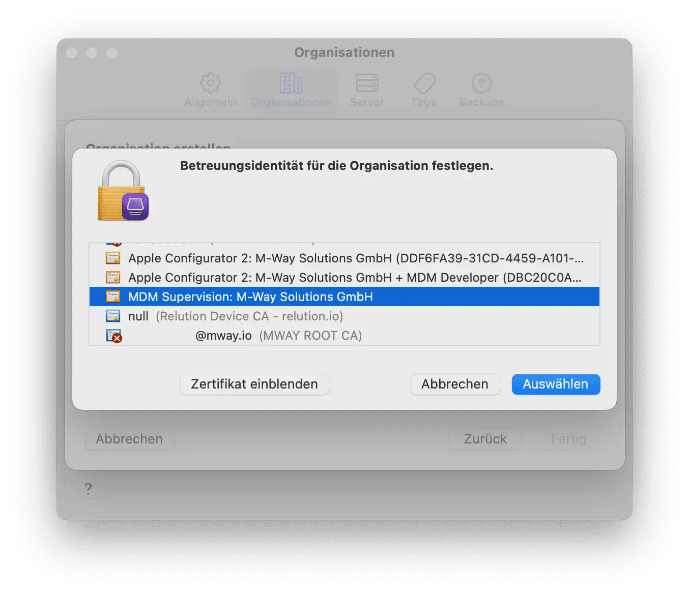 Supervisionszertifikat unter Betreuungsidentitäten in Apple Configurator auswählen