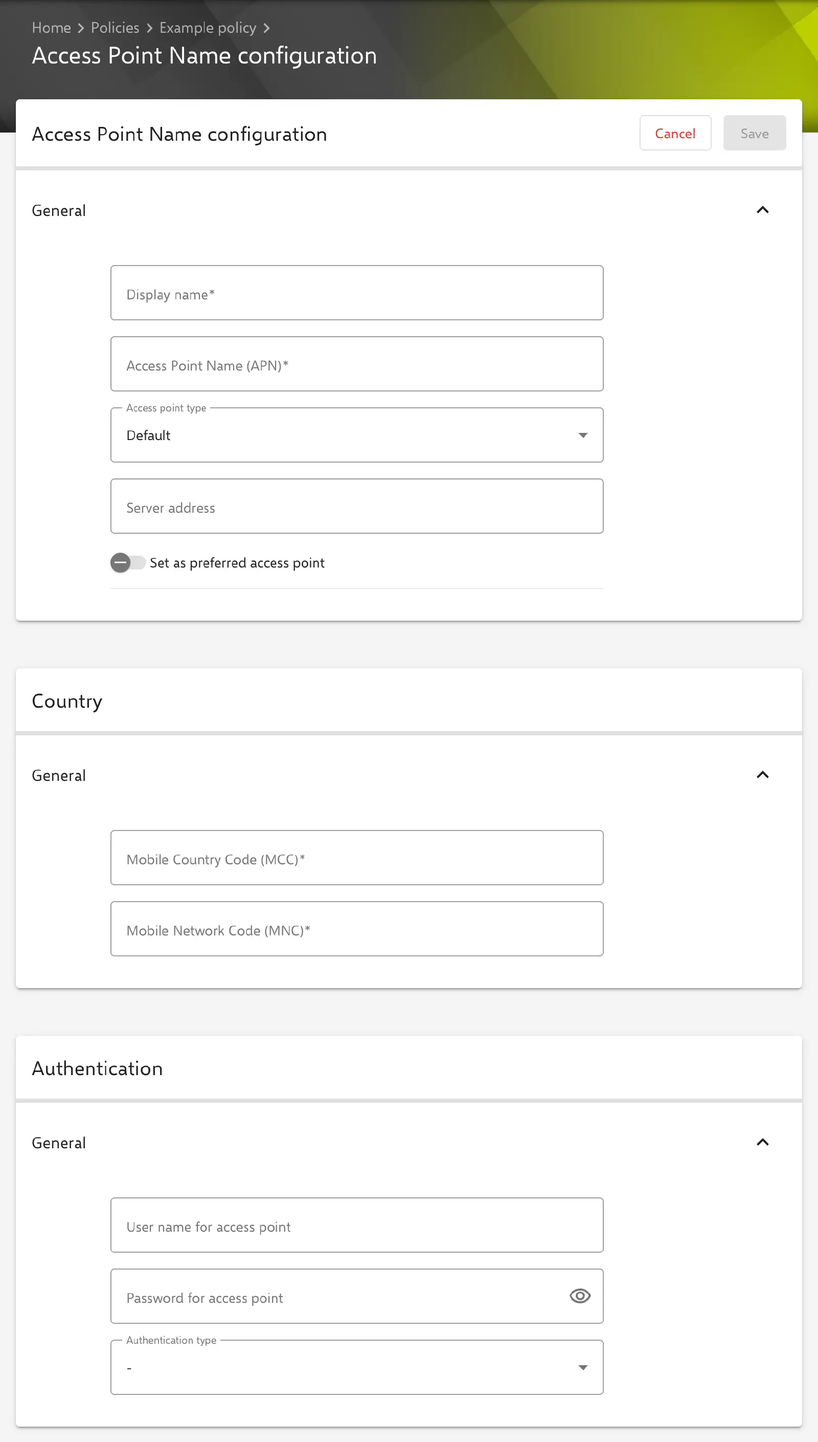 Access Point Name configuration form in the Relution portal
