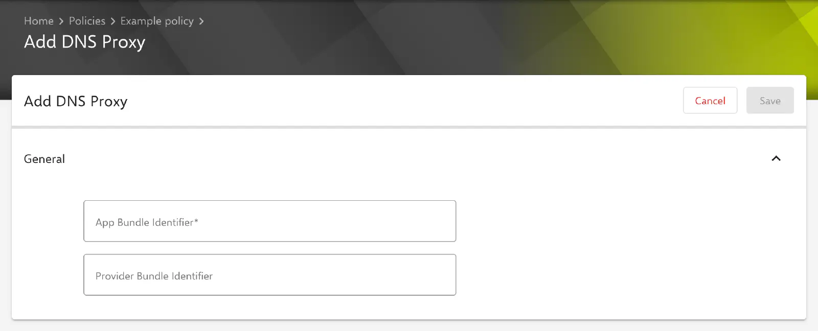 DNS Proxy form in the Relution portal