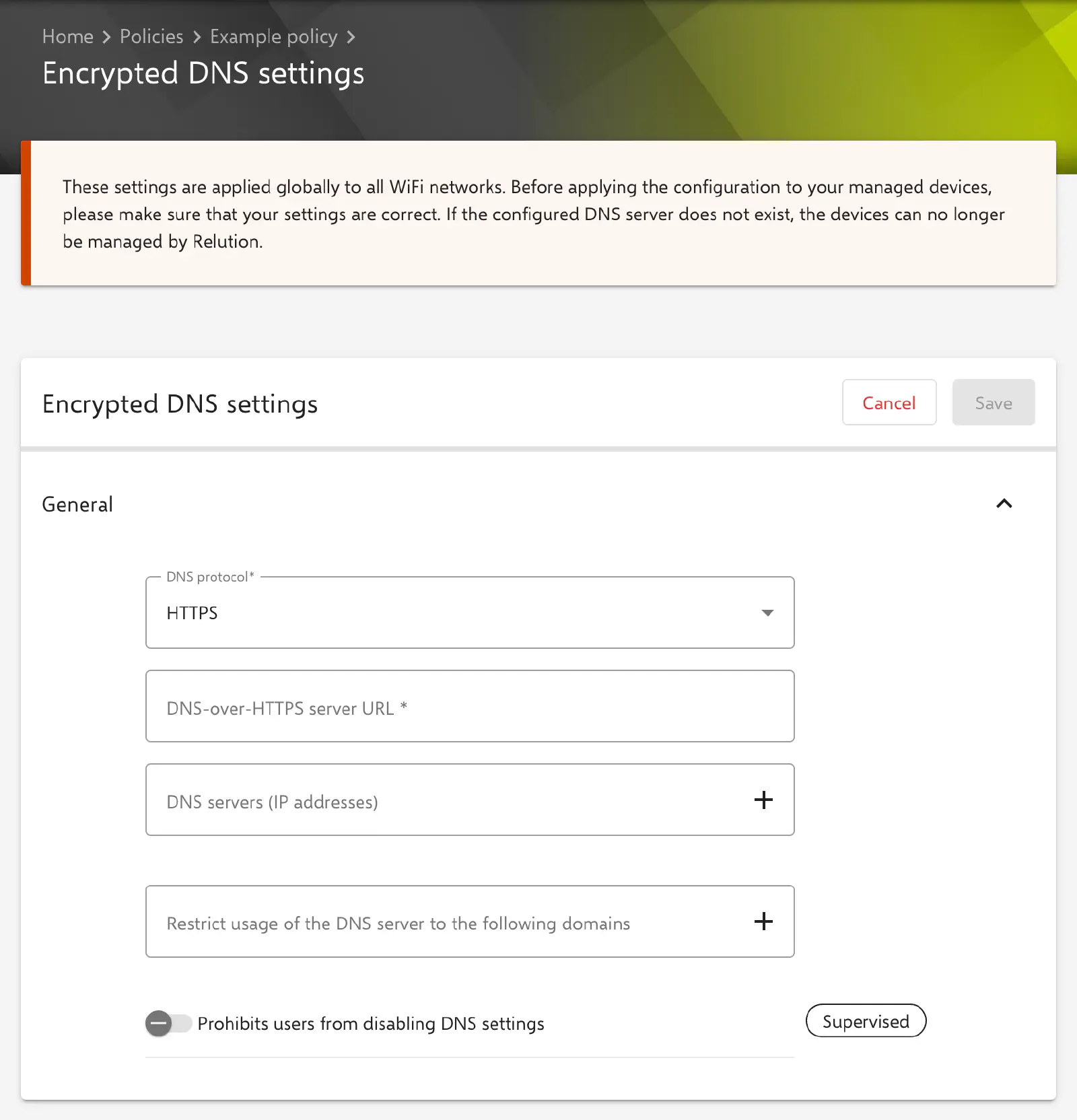 Encrypted DNS settings form in the Relution portal