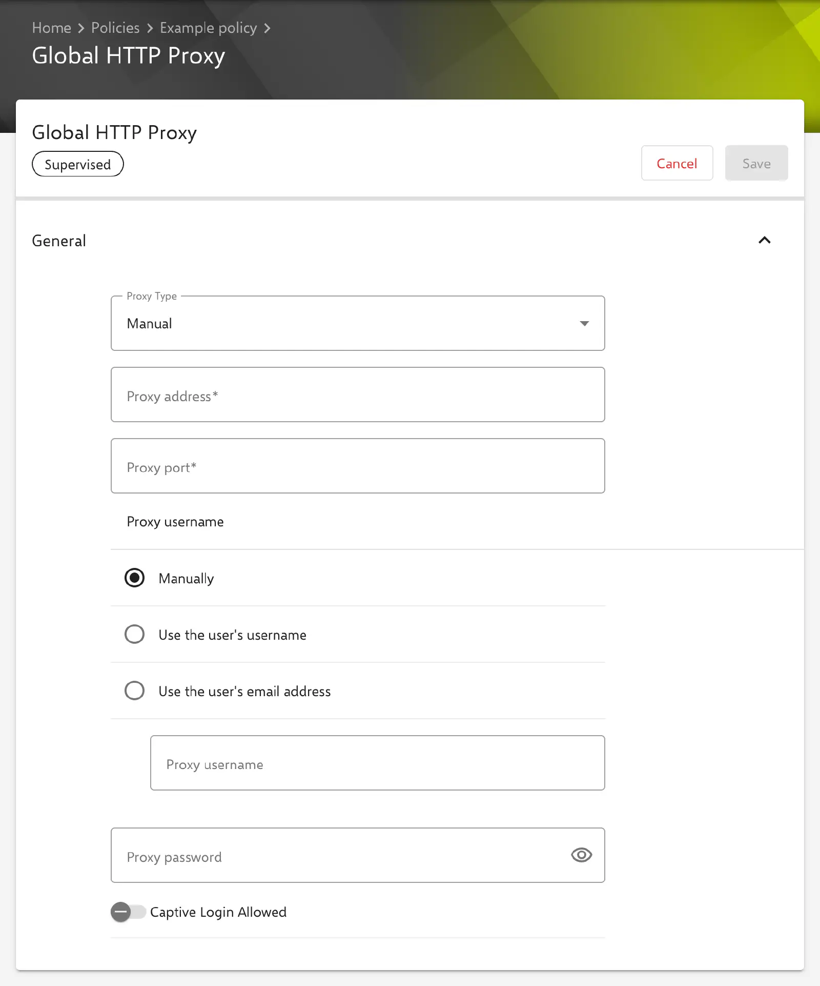 Global HTTP Proxy form in the Relution portal