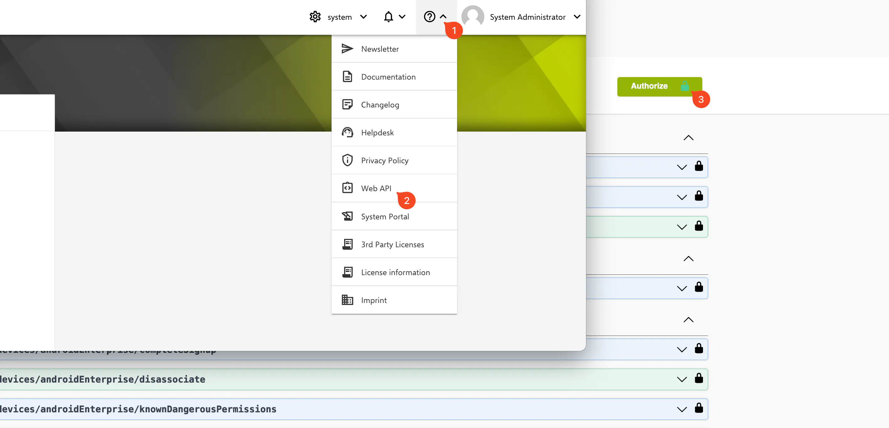 Relution Web API Authorize dialog for entering logging user access token