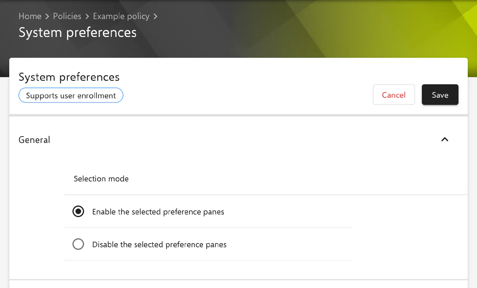 System preferences form in the Relution portal